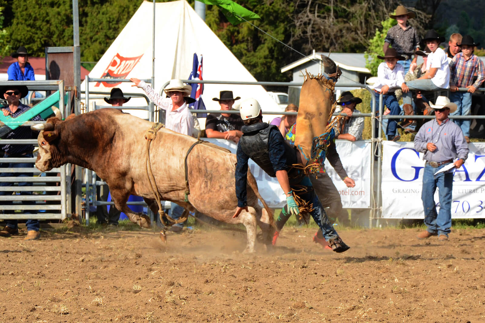 Australia Rodeo Bull Riding Photograph