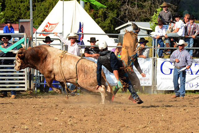 Australia Rodeo Bull Riding Photograph