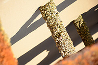 Fraser Island Australia Shipwreck Photo